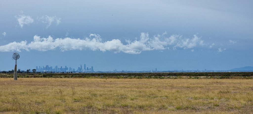 Challis hobsonsbaywetlandscentre3