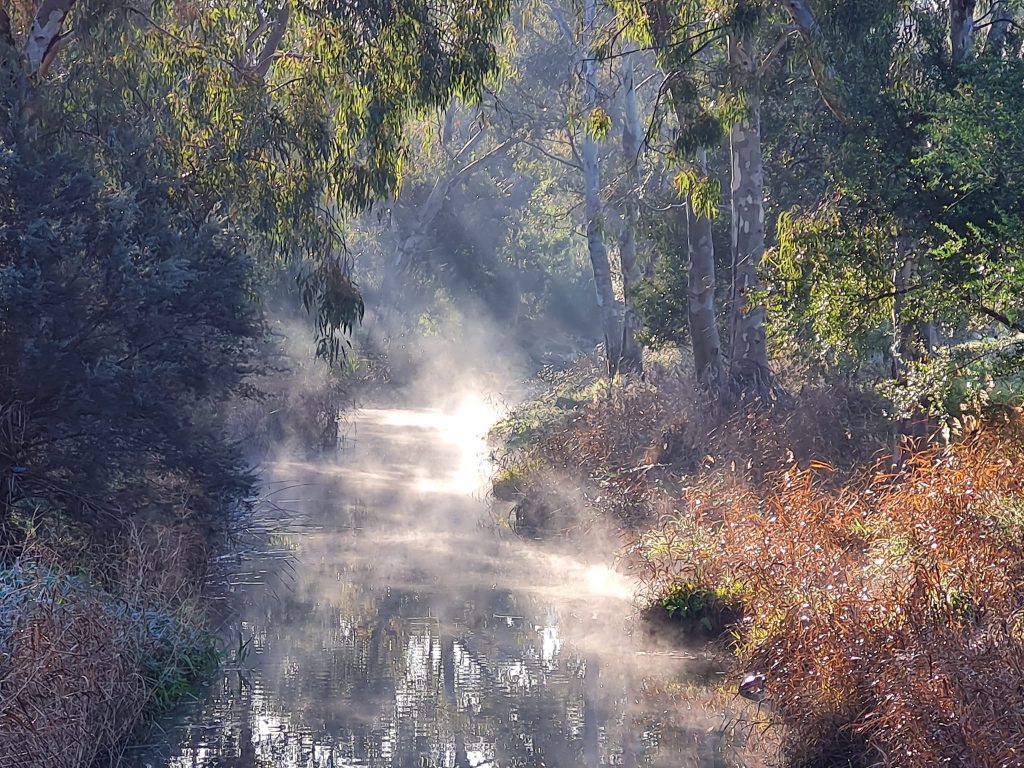 Friends of Kororoit Creek17