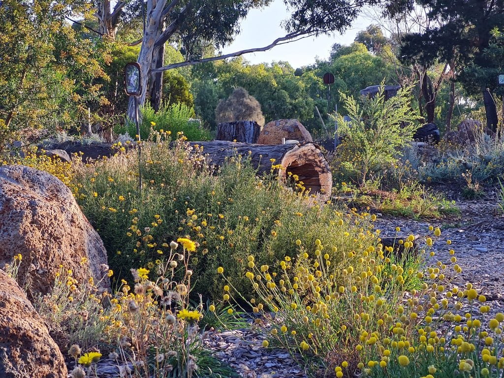 Friends of Kororoit Creek30