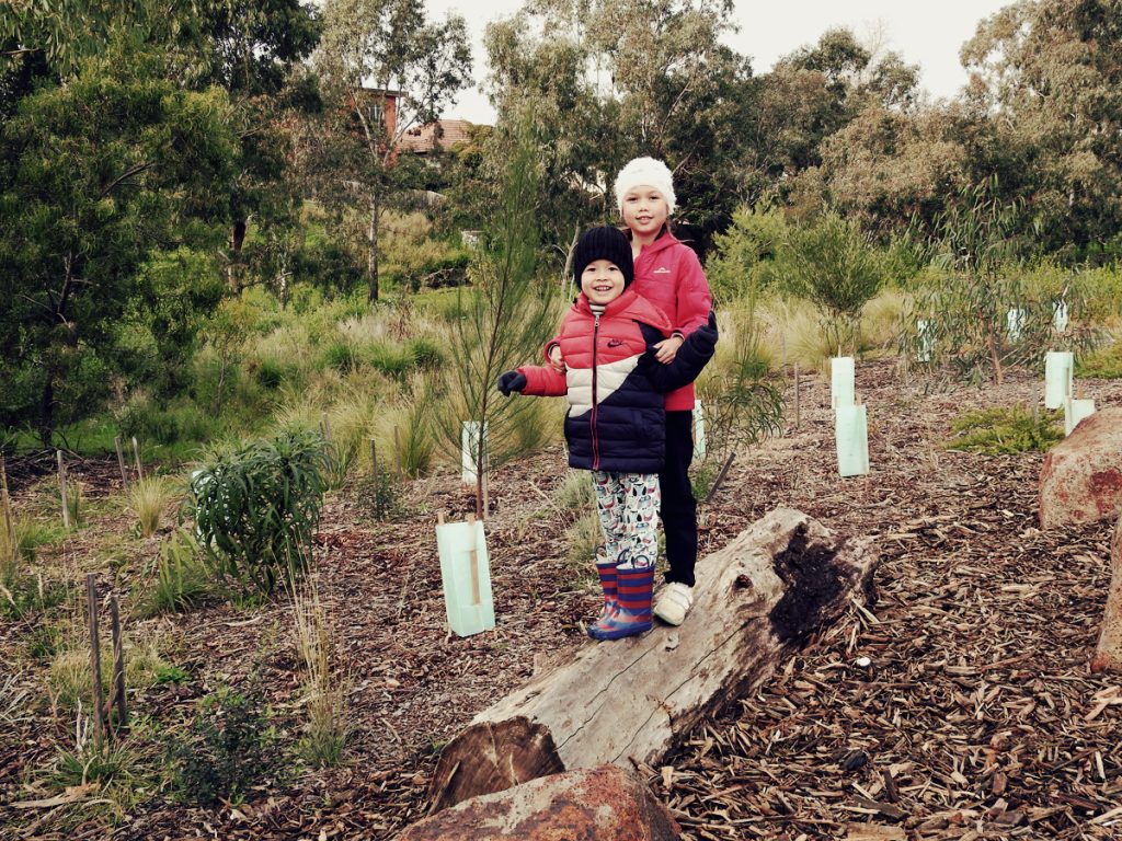 Friends of Kororoit Creek49