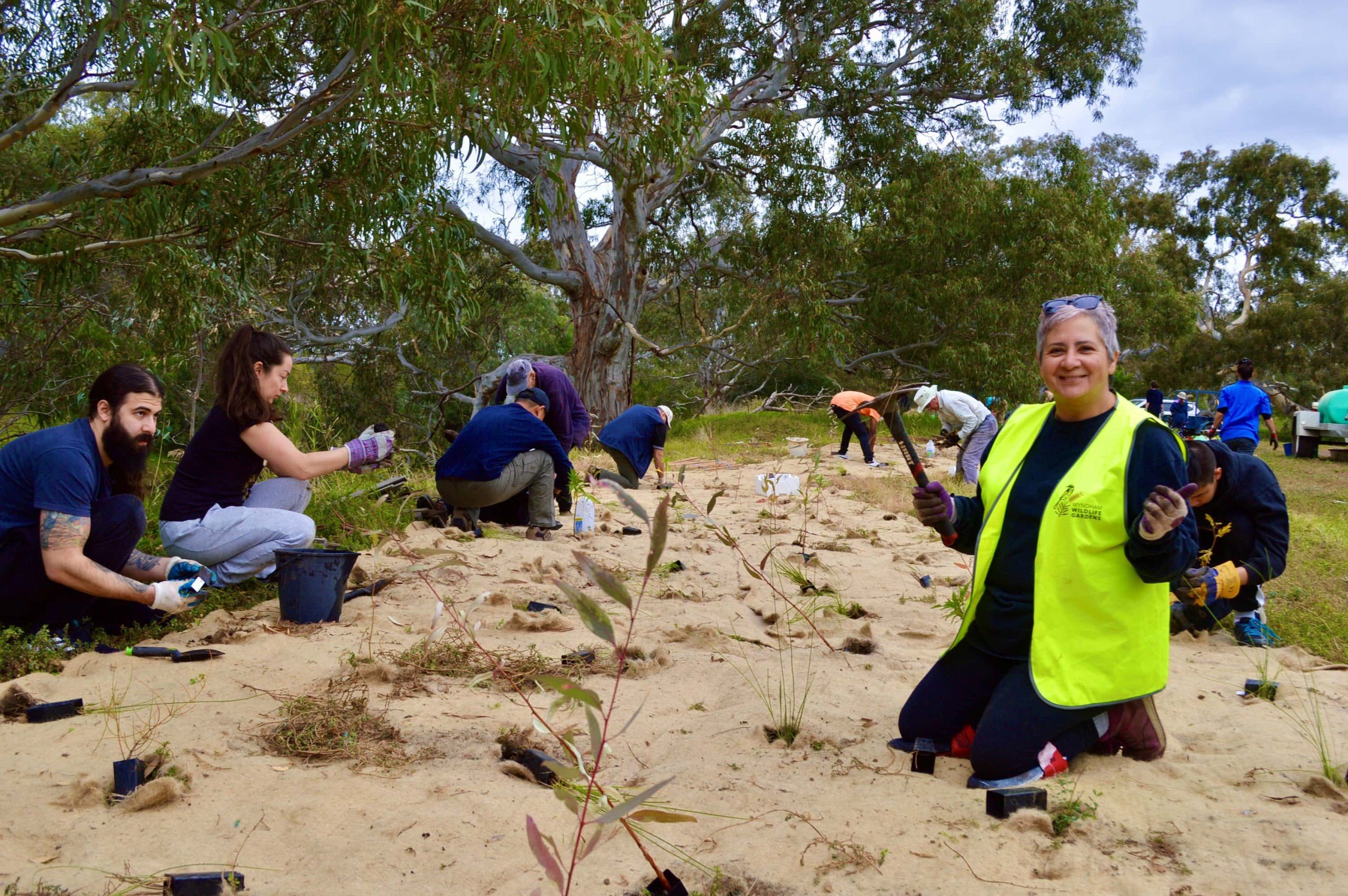 Landcare at Werribee River Park Friends of Werribee River Association