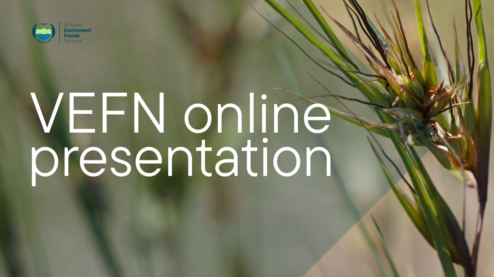 Ben Roberts: Biodiversity Management Within Melbourne's Rail Network
