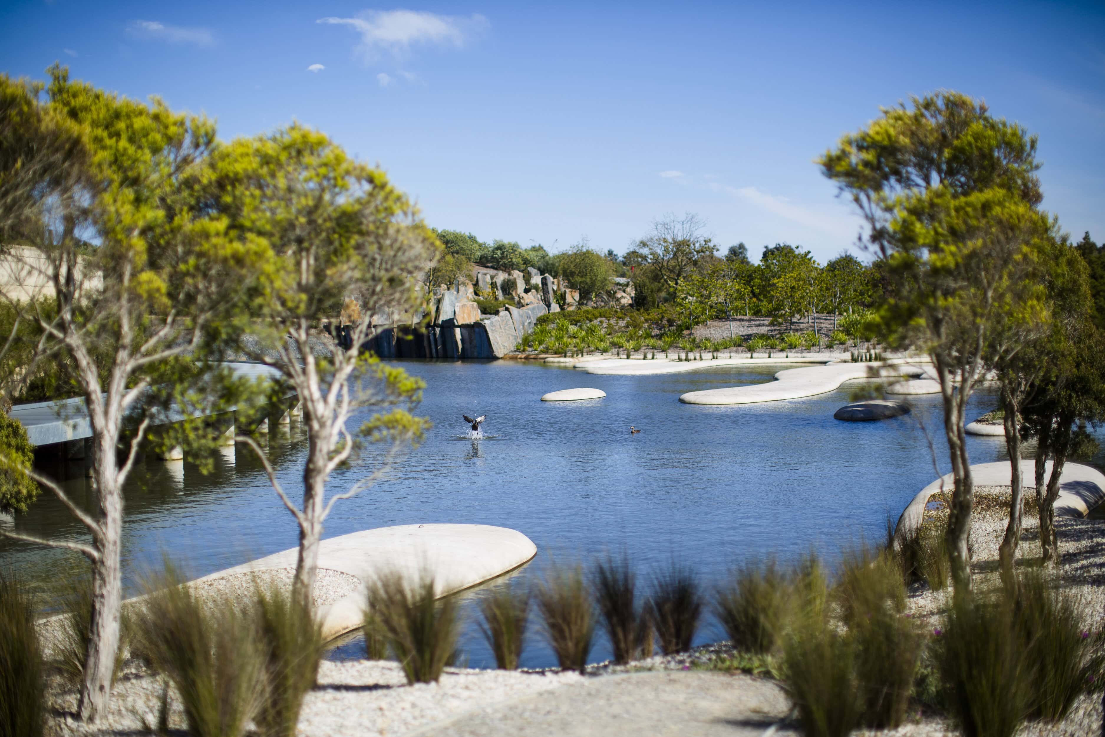 Australian Garden 8