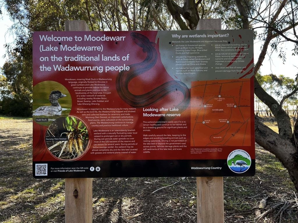 new signs 1