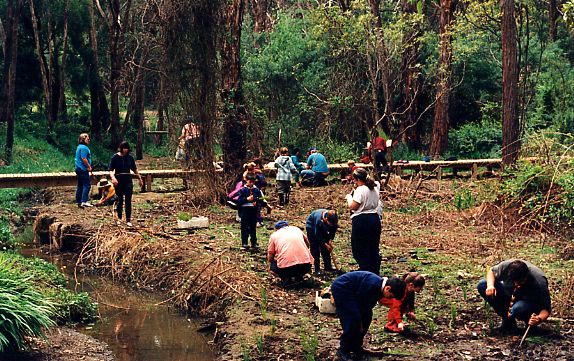 A Project Day in 1996