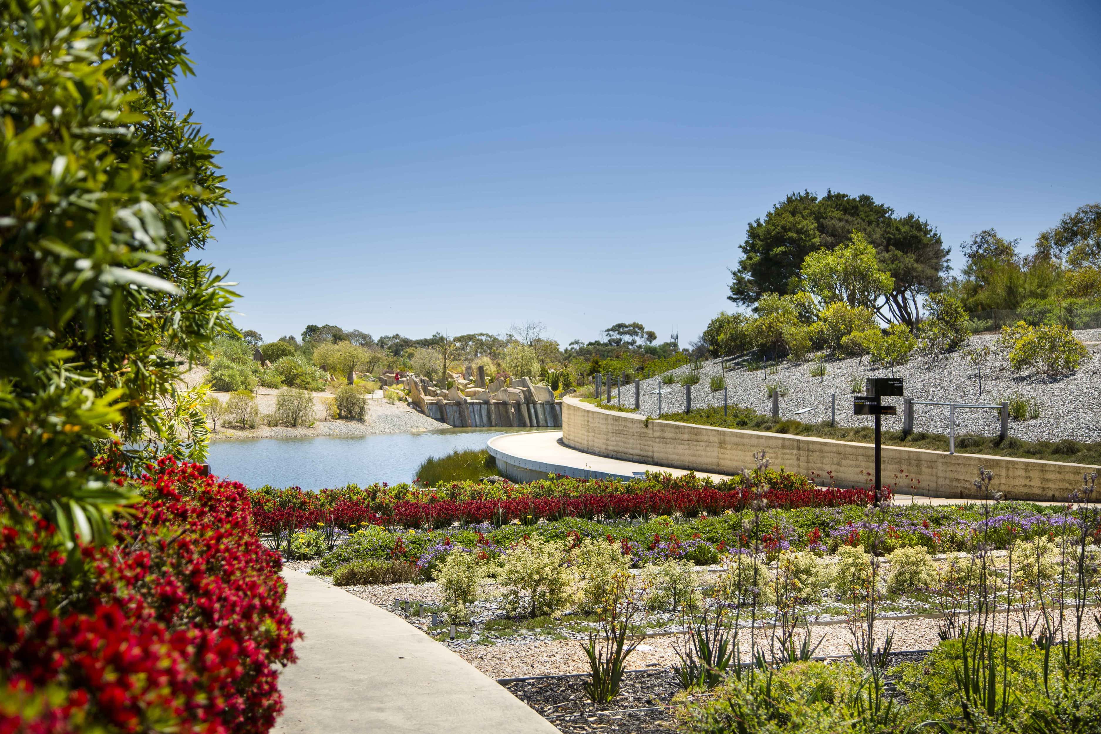 Colourful plants in bloom