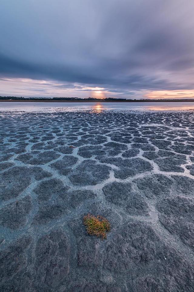 Lake Modewarre special photo