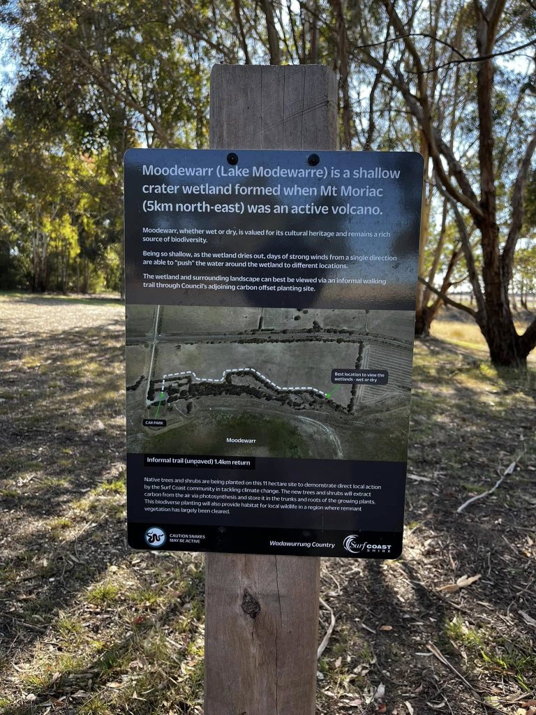 new sign 2