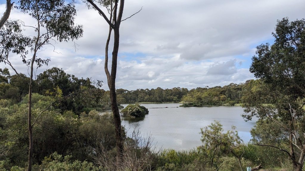 PXL 20240121 064811848 scaled