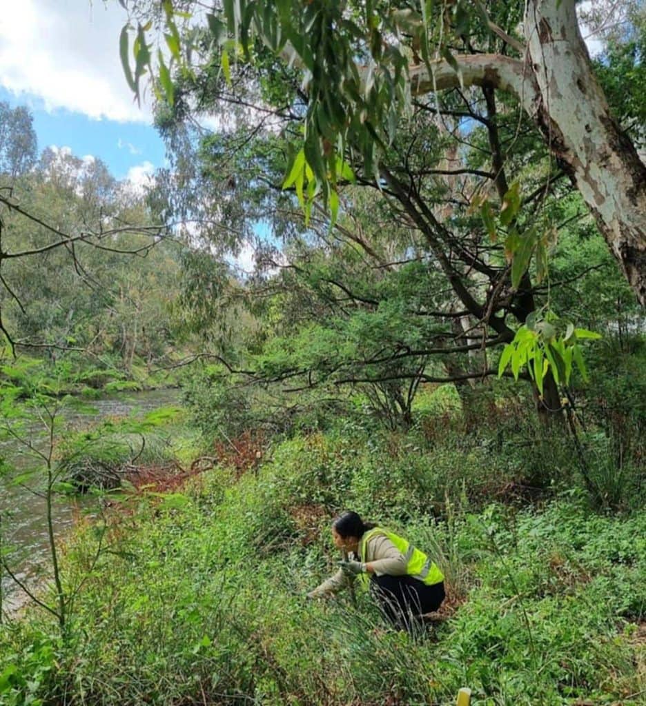 Nan weeding 080425