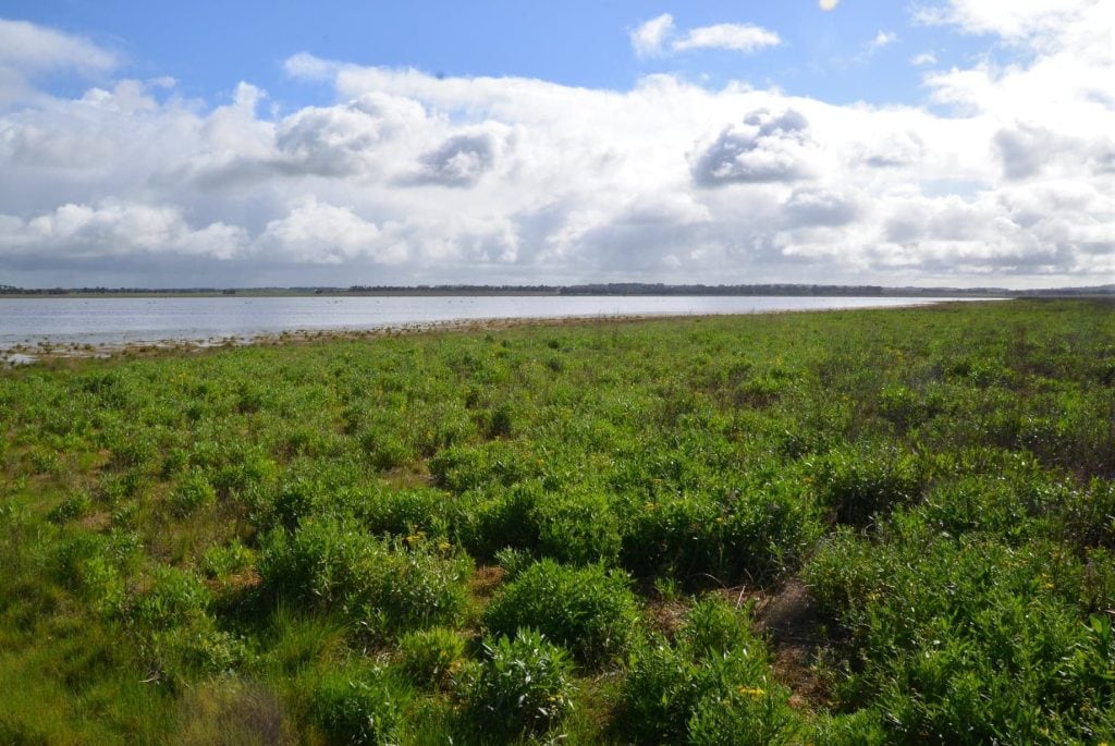 lake modewarre 1