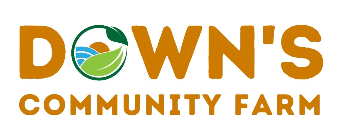 Logo to size (3)