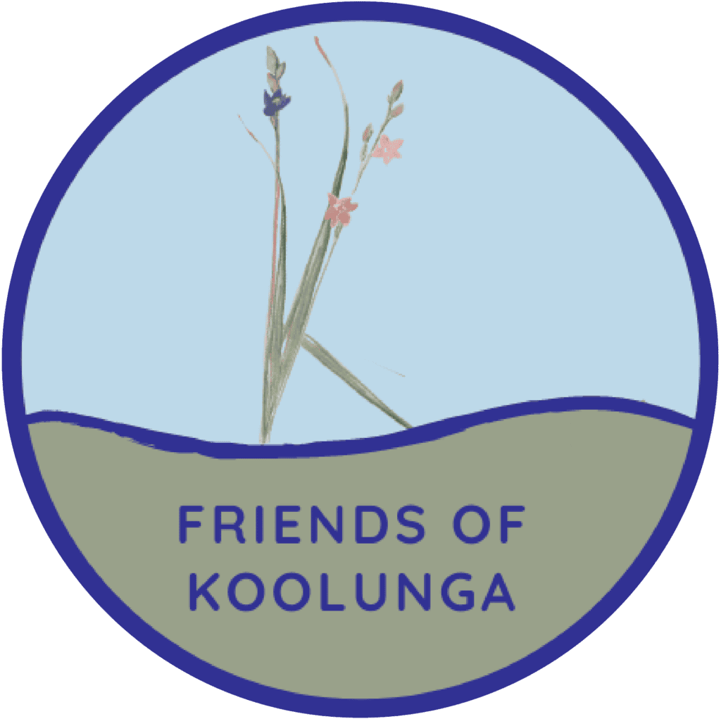 friends of Koolunga transparent background